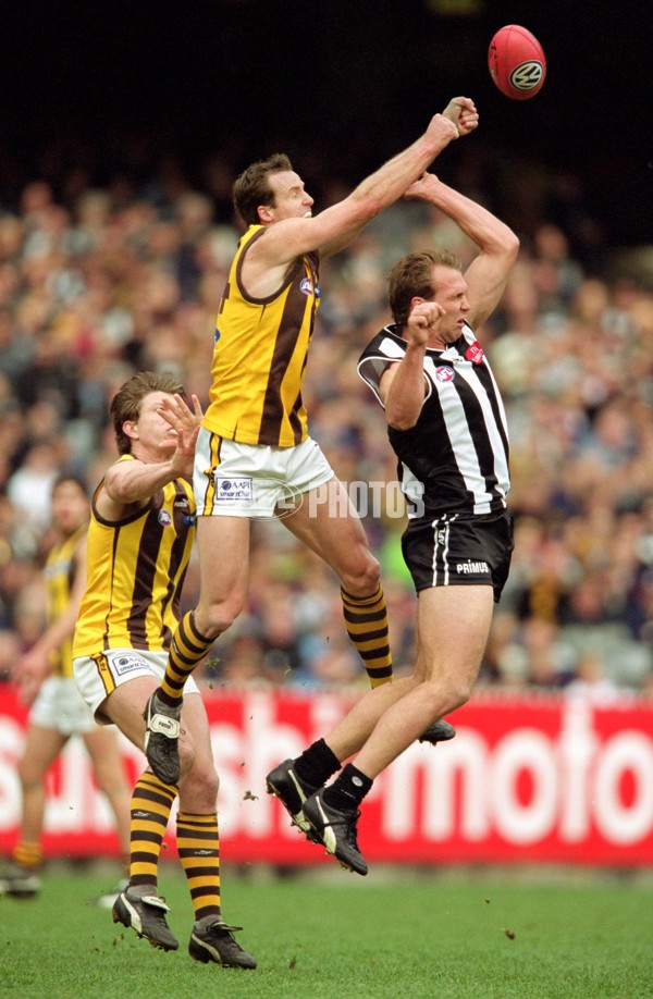 AFL 2001 Rd 16 - Collingwood v Hawthorn - 148497