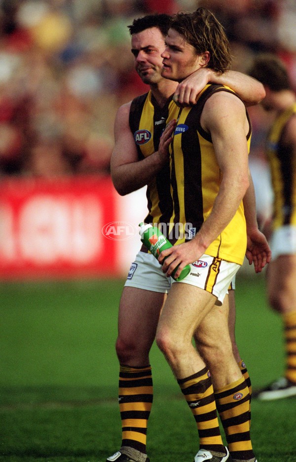 AFL 2001 1st Preliminary Final - Essendon v Hawthorn - 148485