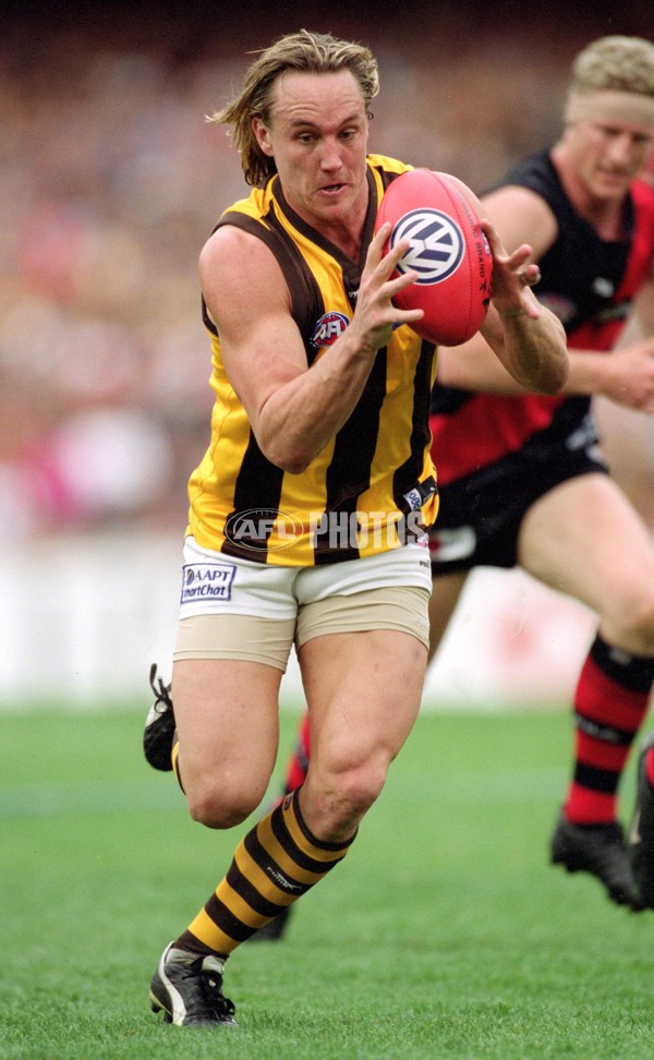 AFL 2001 1st Preliminary Final - Essendon v Hawthorn - 148486
