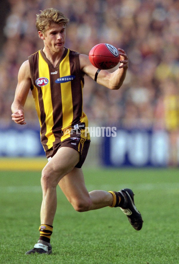 AFL 2001 Rd 17 - Hawthorn v Carlton - 148483
