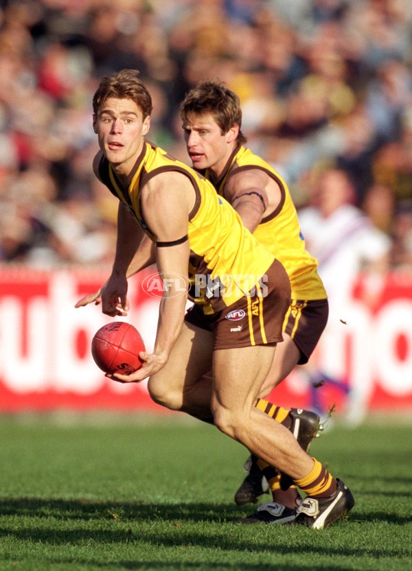 AFL 2001 Rd 17 - Hawthorn v Carlton - 148508