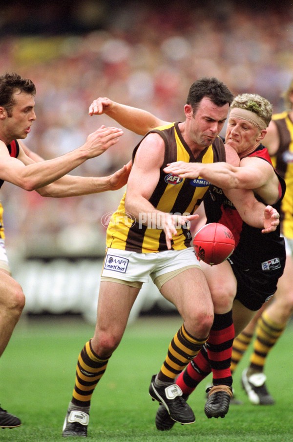 AFL 2001 1st Preliminary Final - Essendon v Hawthorn - 148527