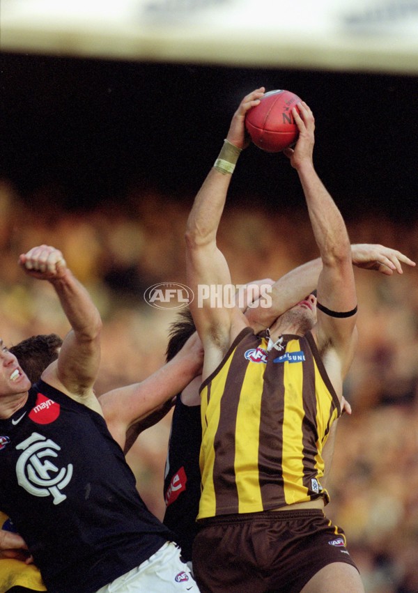 AFL 2001 Rd 17 - Hawthorn v Carlton - 148514