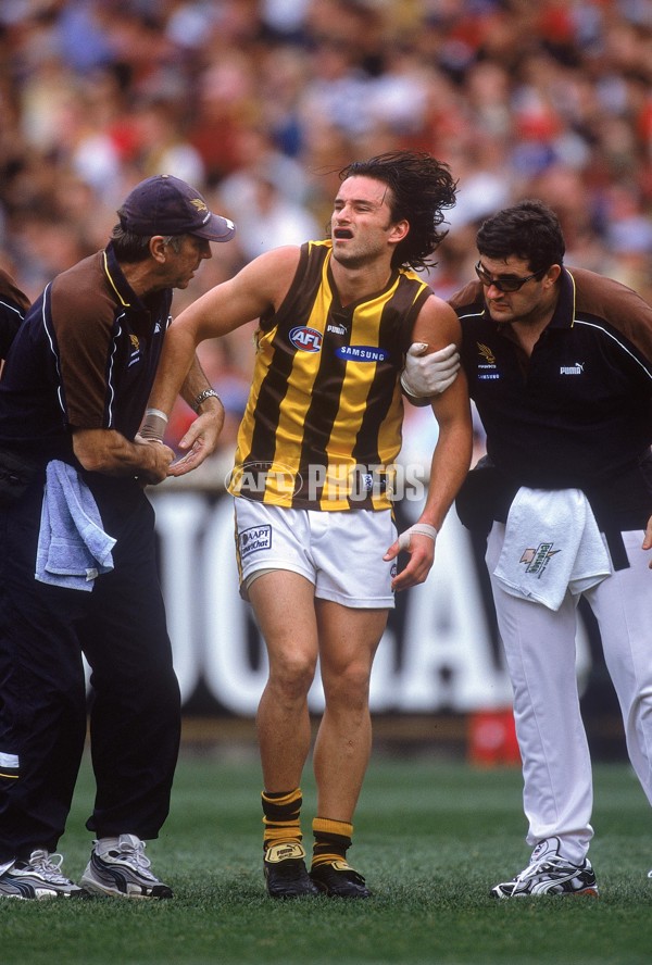 AFL 2001 1st Preliminary Final - Essendon v Hawthorn - 148529
