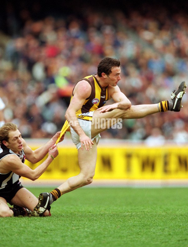 AFL 2001 Rd 16 - Collingwood v Hawthorn - 148531