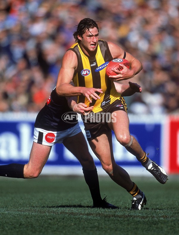 AFL 2001 Rd 17 - Hawthorn v Carlton - 148532