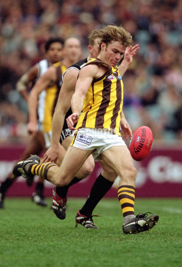 AFL 2001 Rd 16 - Collingwood v Hawthorn - 148542