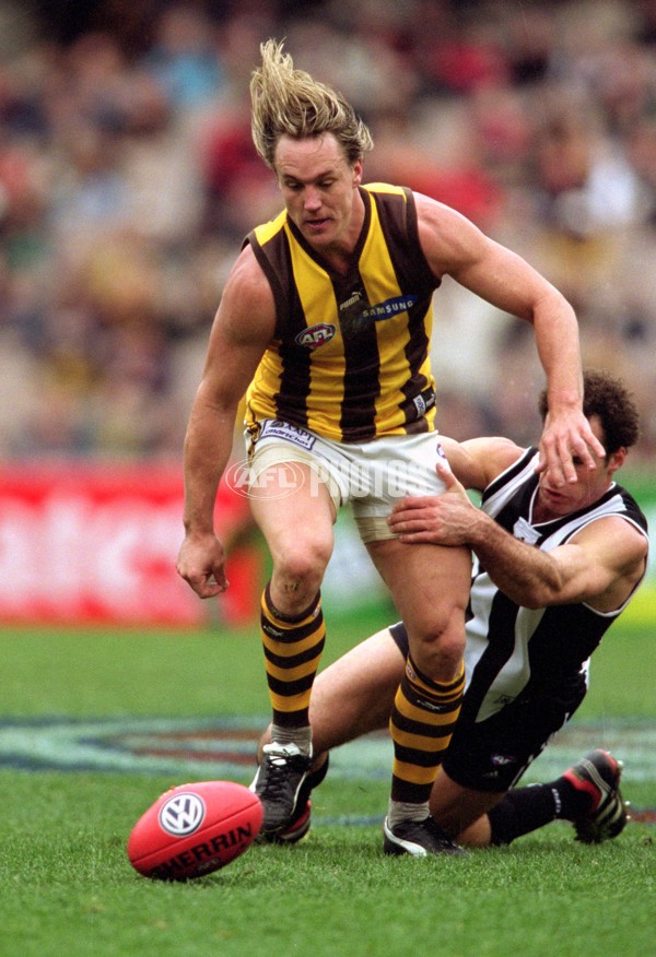 AFL 2001 Rd 16 - Collingwood v Hawthorn - 148482