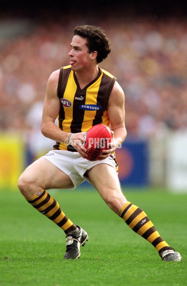 AFL 2001 1st Preliminary Final - Essendon v Hawthorn - 148484