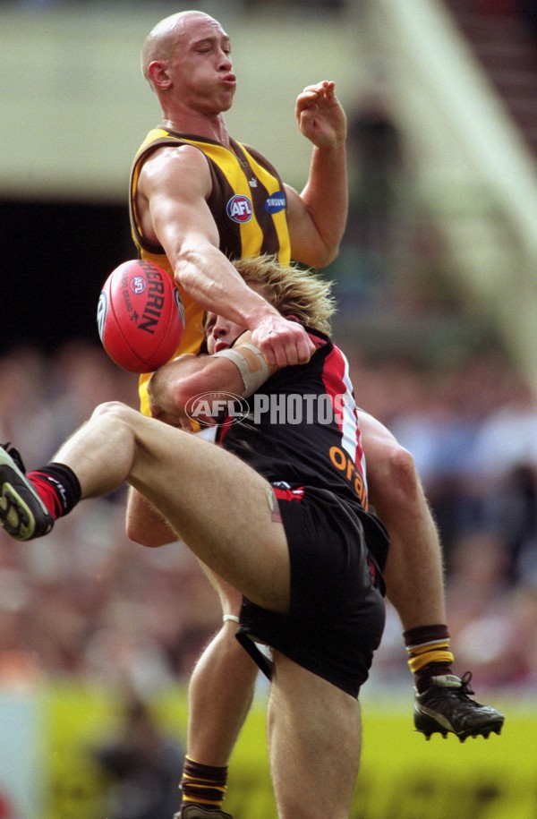 AFL 2001 1st Preliminary Final - Essendon v Hawthorn - 148510