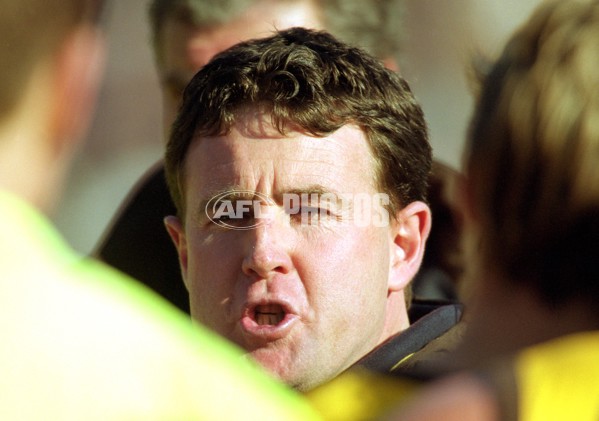 AFL 2001 Rd 17 - Hawthorn v Carlton - 148516