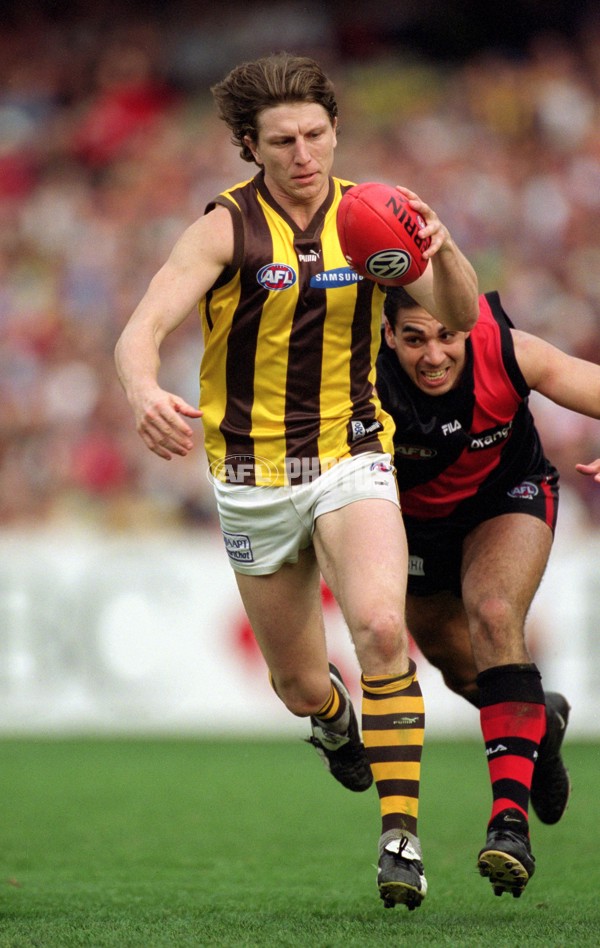 AFL 2001 1st Preliminary Final - Essendon v Hawthorn - 148541