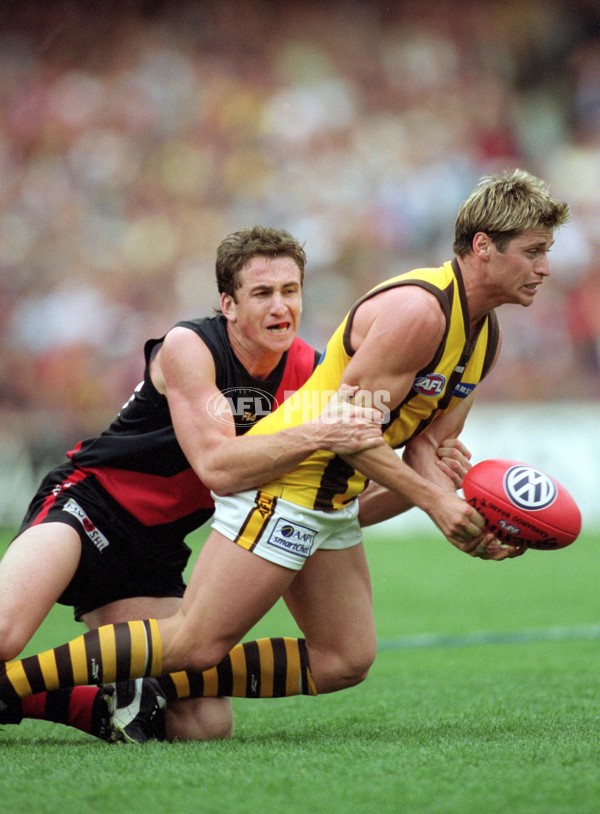 AFL 2001 1st Preliminary Final - Essendon v Hawthorn - 148528