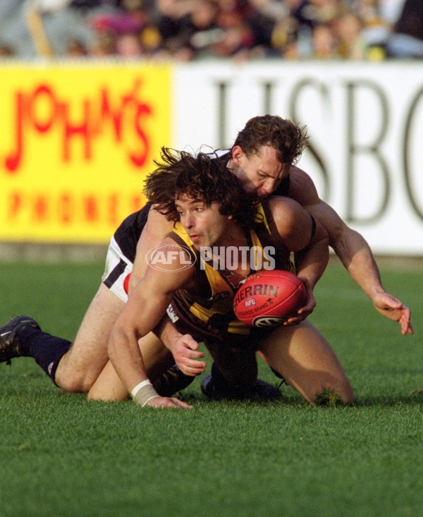 AFL 2001 Rd 17 - Hawthorn v Carlton - 148553