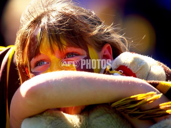 AFL 2001 Rd 1 - Collingwood v Hawthorn - 148724