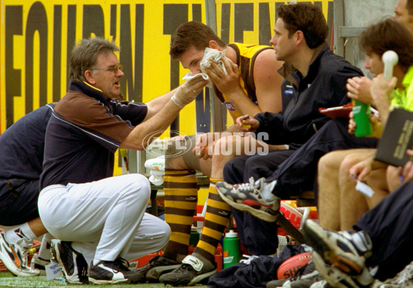 AFL 2001 Rd 16 - Collingwood v Hawthorn - 148770