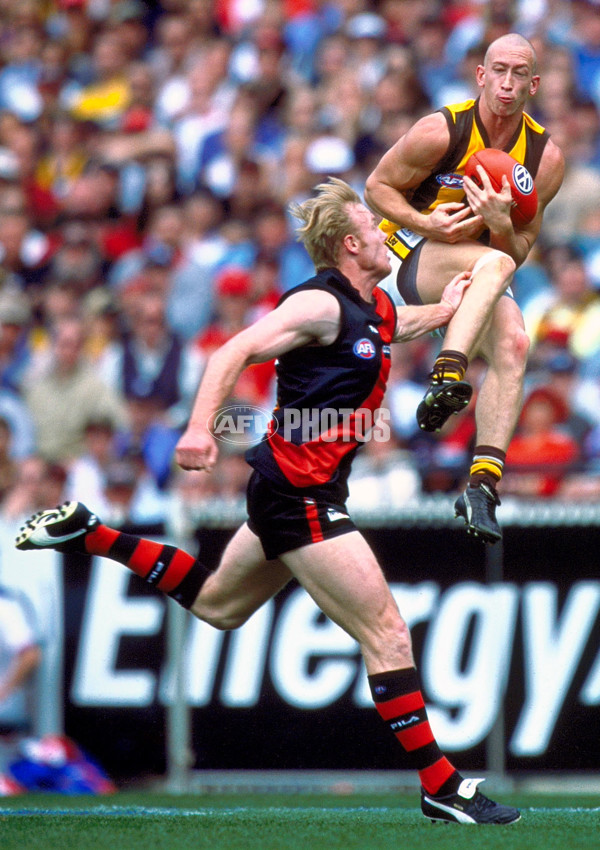 AFL 2001 1st Preliminary Final - Essendon v Hawthorn - 148789