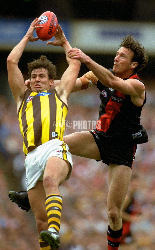 AFL 2001 1st Preliminary Final - Essendon v Hawthorn - 148786