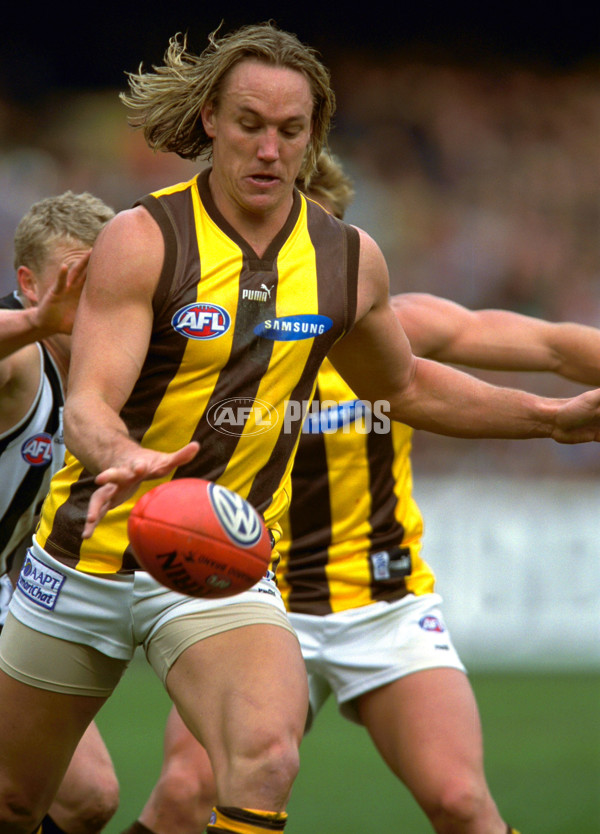 AFL 2001 Rd 16 - Collingwood v Hawthorn - 148767