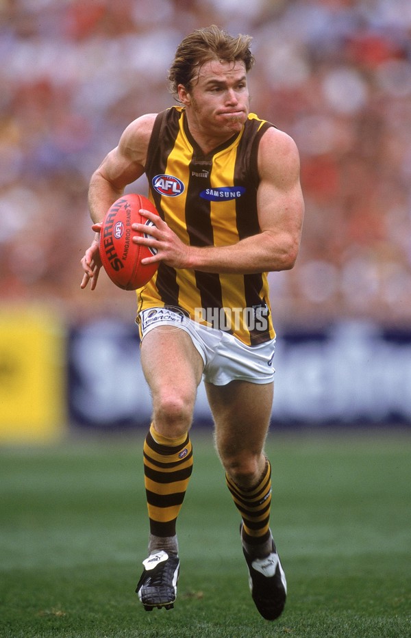 AFL 2001 1st Preliminary Final - Essendon v Hawthorn - 148799