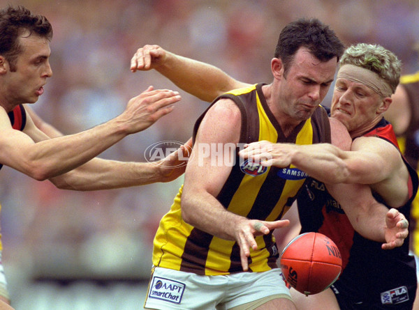 AFL 2001 1st Preliminary Final - Essendon v Hawthorn - 148788
