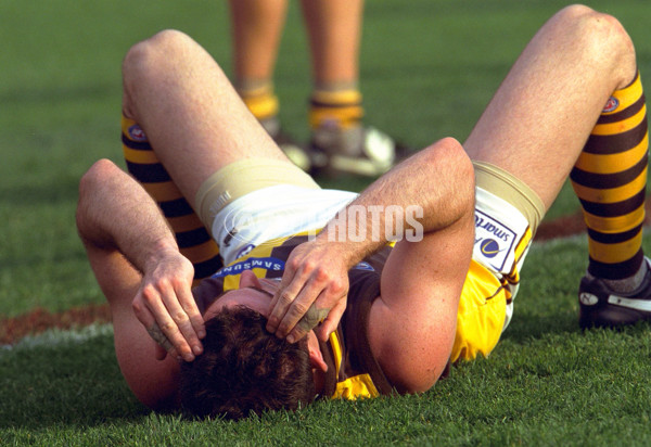 AFL 2001 1st Preliminary Final - Essendon v Hawthorn - 148796