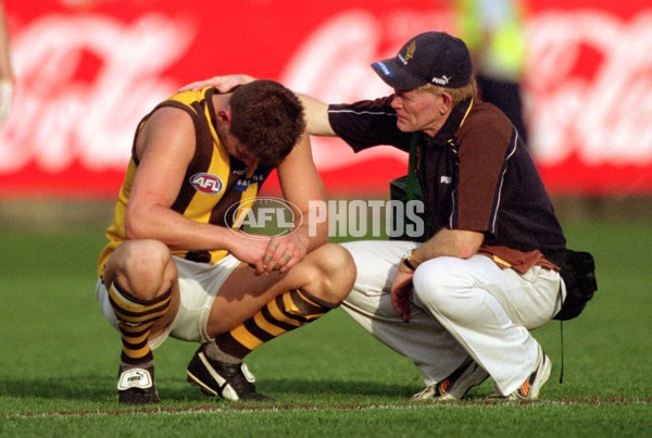 AFL 2001 1st Preliminary Final - Essendon v Hawthorn - 148803