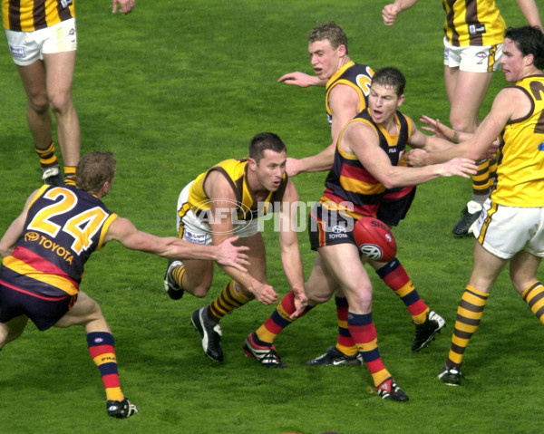 AFL 2001 Rd 21 - Adelaide v Hawthorn - 148839