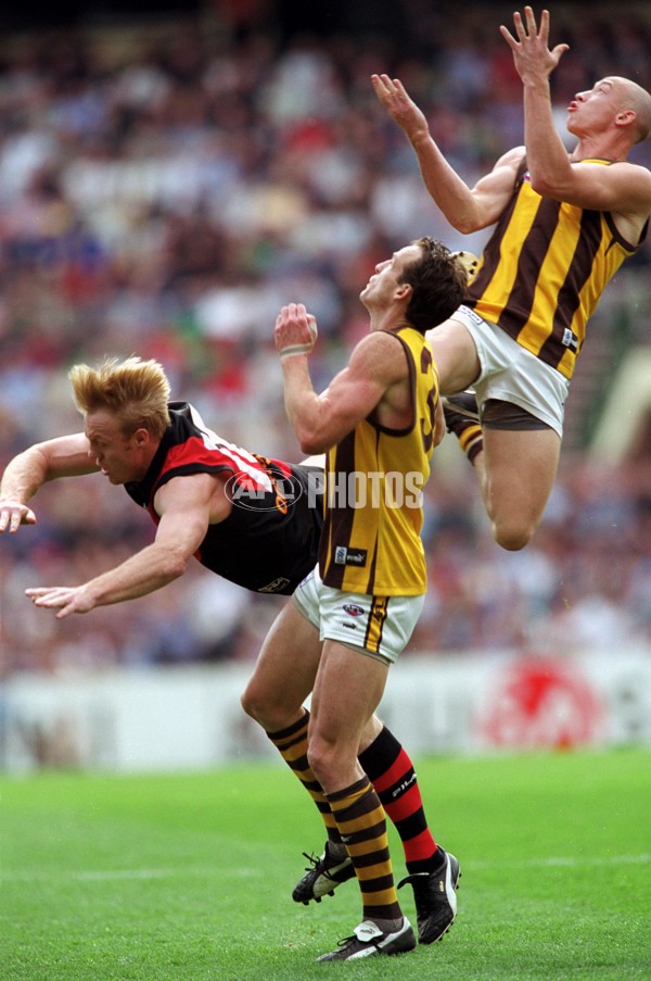 AFL 2001 1st Preliminary Final - Essendon v Hawthorn - 148882