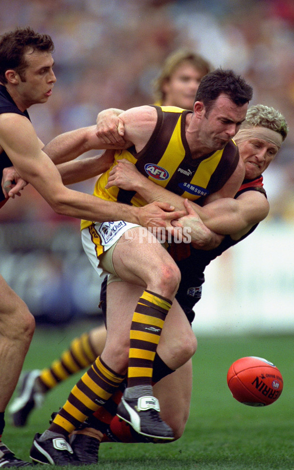 AFL 2001 1st Preliminary Final - Essendon v Hawthorn - 148795