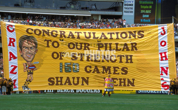 AFL 2001 1st Preliminary Final - Essendon v Hawthorn - 148787