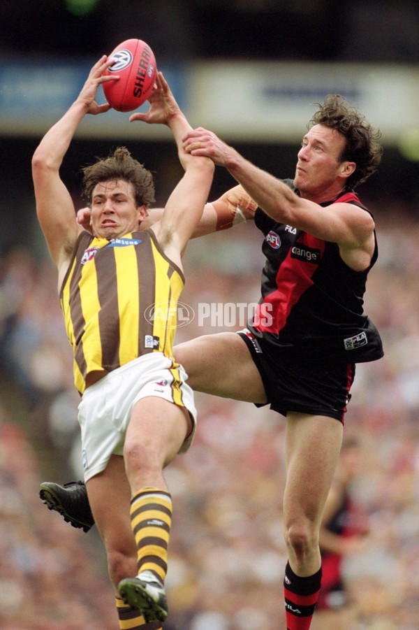 AFL 2001 1st Preliminary Final - Essendon v Hawthorn - 148801