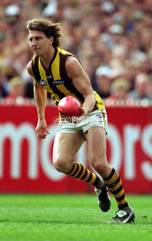 AFL 2001 1st Preliminary Final - Essendon v Hawthorn - 148798
