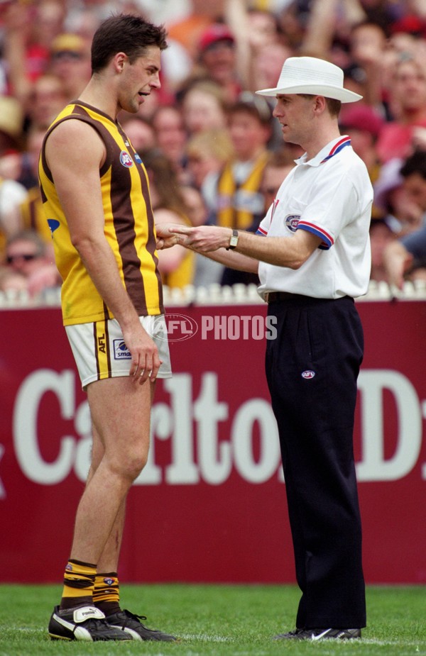 AFL 2001 1st Preliminary Final - Essendon v Hawthorn - 148811
