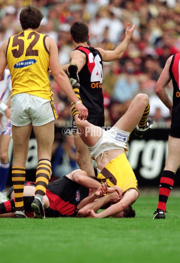 AFL 2001 1st Preliminary Final - Essendon v Hawthorn - 148802