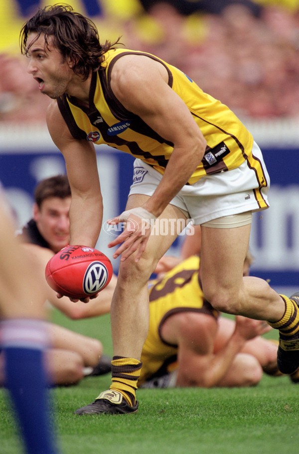 AFL 2001 1st Preliminary Final - Essendon v Hawthorn - 148898