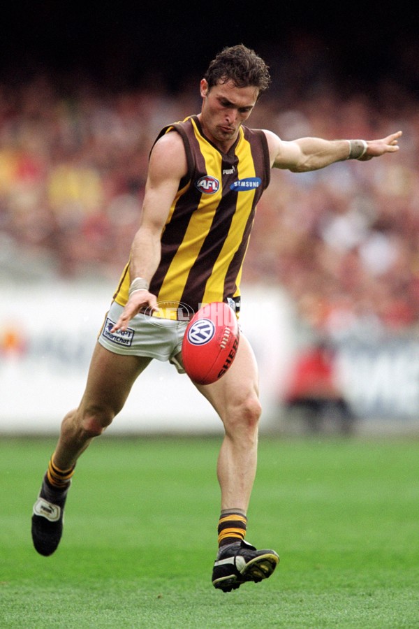 AFL 2001 1st Preliminary Final - Essendon v Hawthorn - 148886