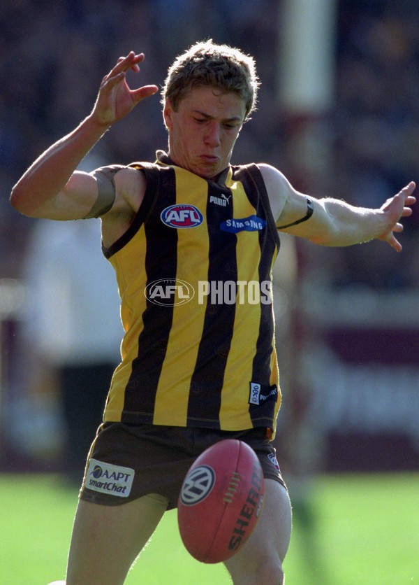 AFL 2001 Rd 17 - Hawthorn v Carlton - 148888