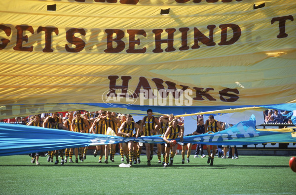 AFL 2001 Rd 1 - Collingwood v Hawthorn - 148897