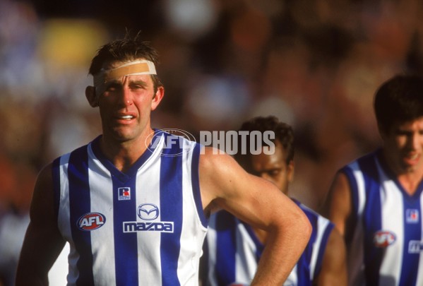 AFL 2001 Rd 16 - Essendon v Kangaroos - 148951