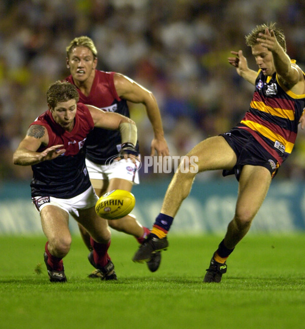 AFL 2001 Rd 2 - Adelaide v Melbourne - 149740