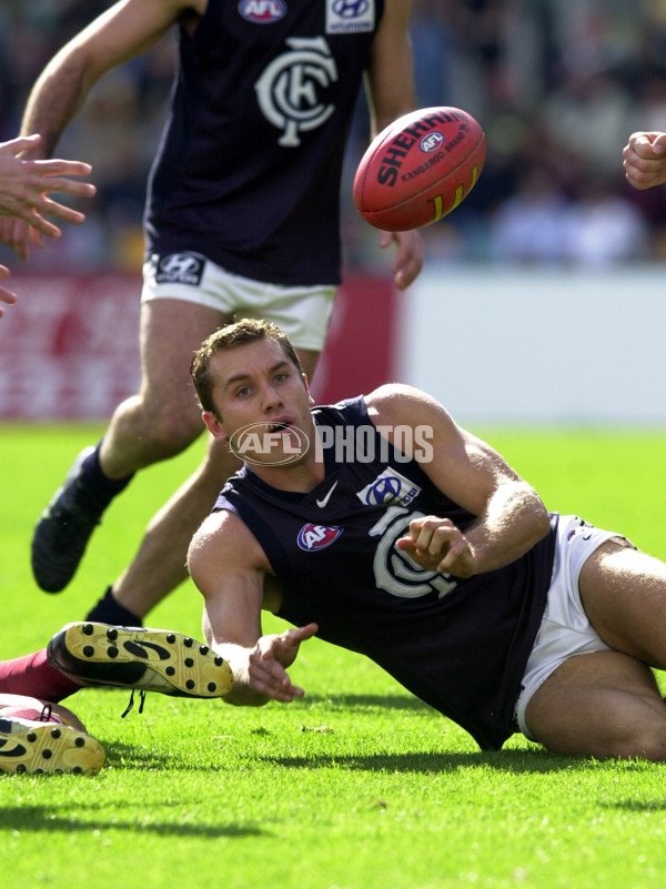 AFL 2000 Rd 16 - Brisbane v Carlton - 150868