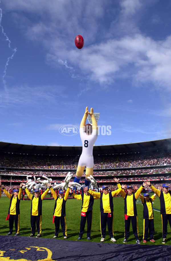 AFL 2000 Grand Final - Essendon v Melbourne - 151819