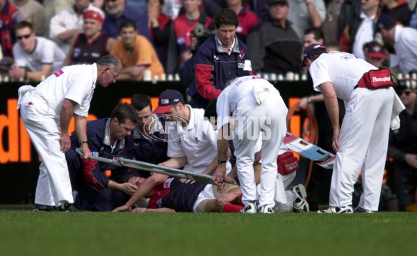 AFL 2000 Grand Final - Essendon v Melbourne - 151861
