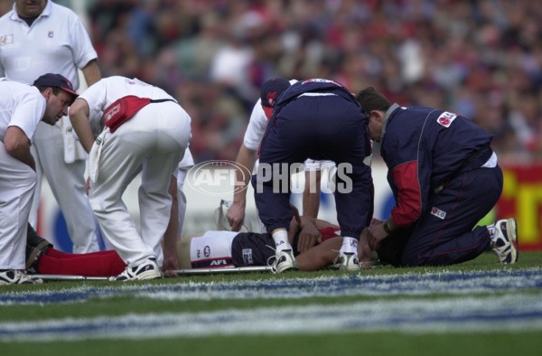 AFL 2000 Grand Final - Essendon v Melbourne - 151862