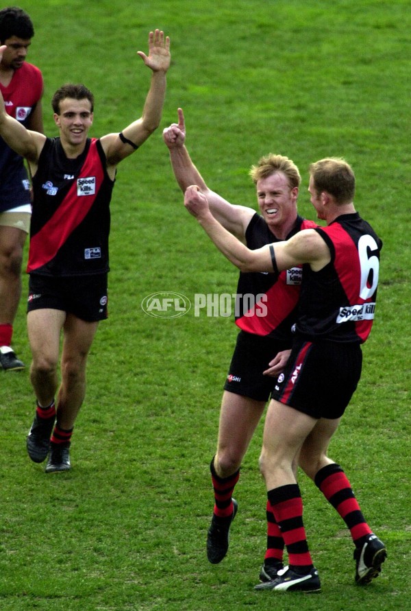 AFL 2000 Grand Final - Essendon v Melbourne - 151883