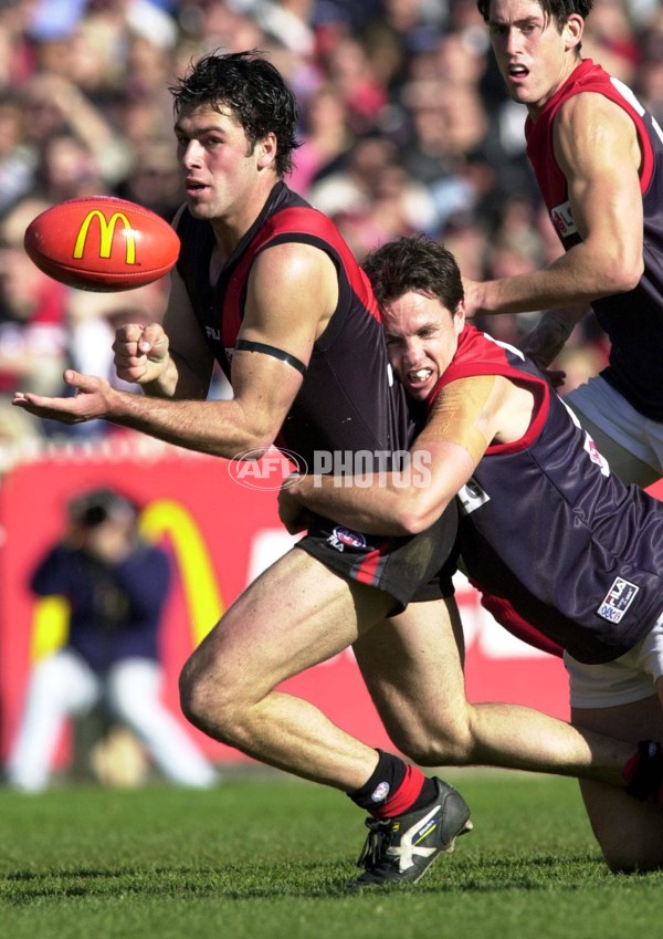 AFL 2000 Grand Final - Essendon v Melbourne - 151882