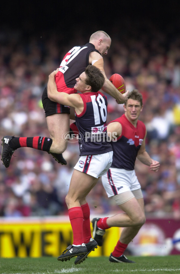 AFL 2000 Grand Final - Essendon v Melbourne - 151841