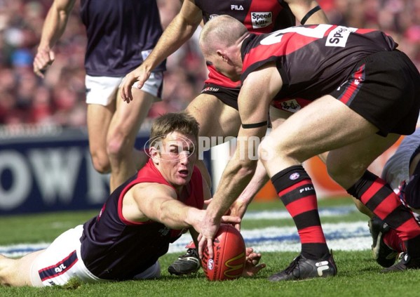 AFL 2000 Grand Final - Essendon v Melbourne - 151857