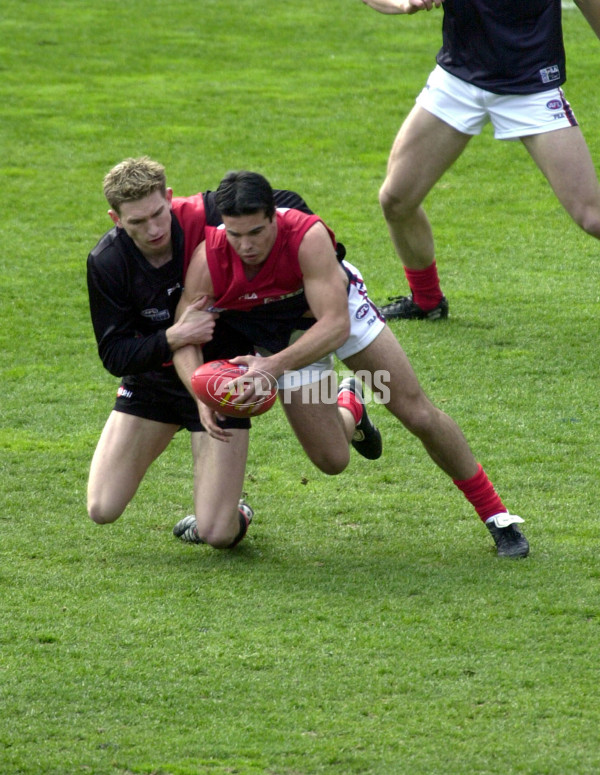 AFL 2000 Grand Final - Essendon v Melbourne - 151852